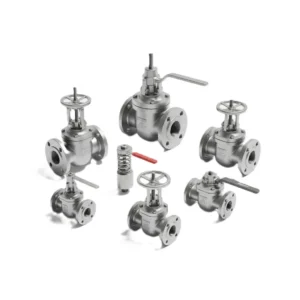 Duplex & Super Duplex Valves